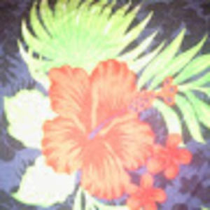 Meet your Posher, Carol